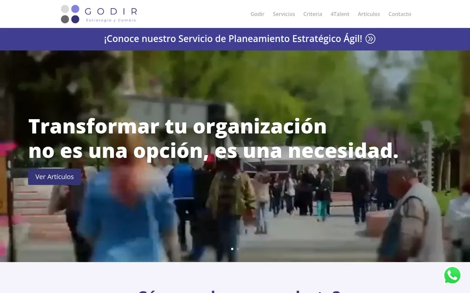 Portada de la web de GODIR